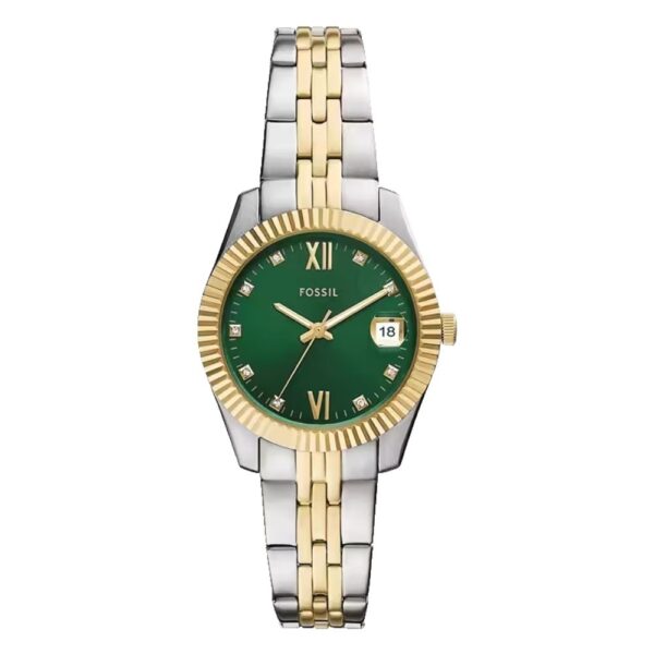 Fossil-ES5388-cehajic-visoko